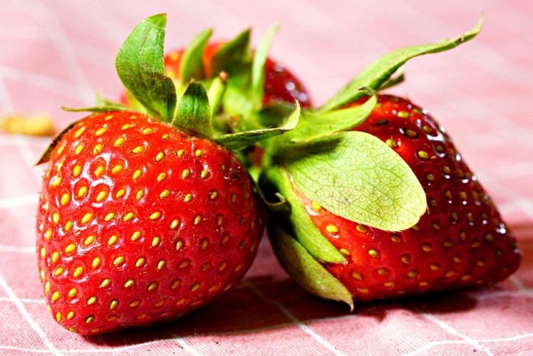 A trio of bright red strawberries against a pink checked background
